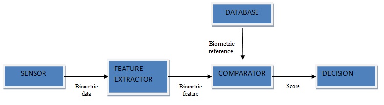 Face Biometric Antispoofing